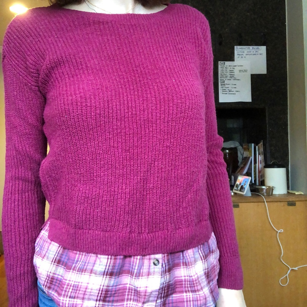 Hollister sweater with button down shirt